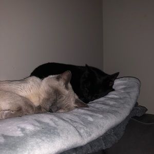 Meet your Posher, Wyndie